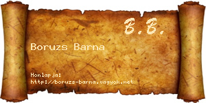 Boruzs Barna névjegykártya